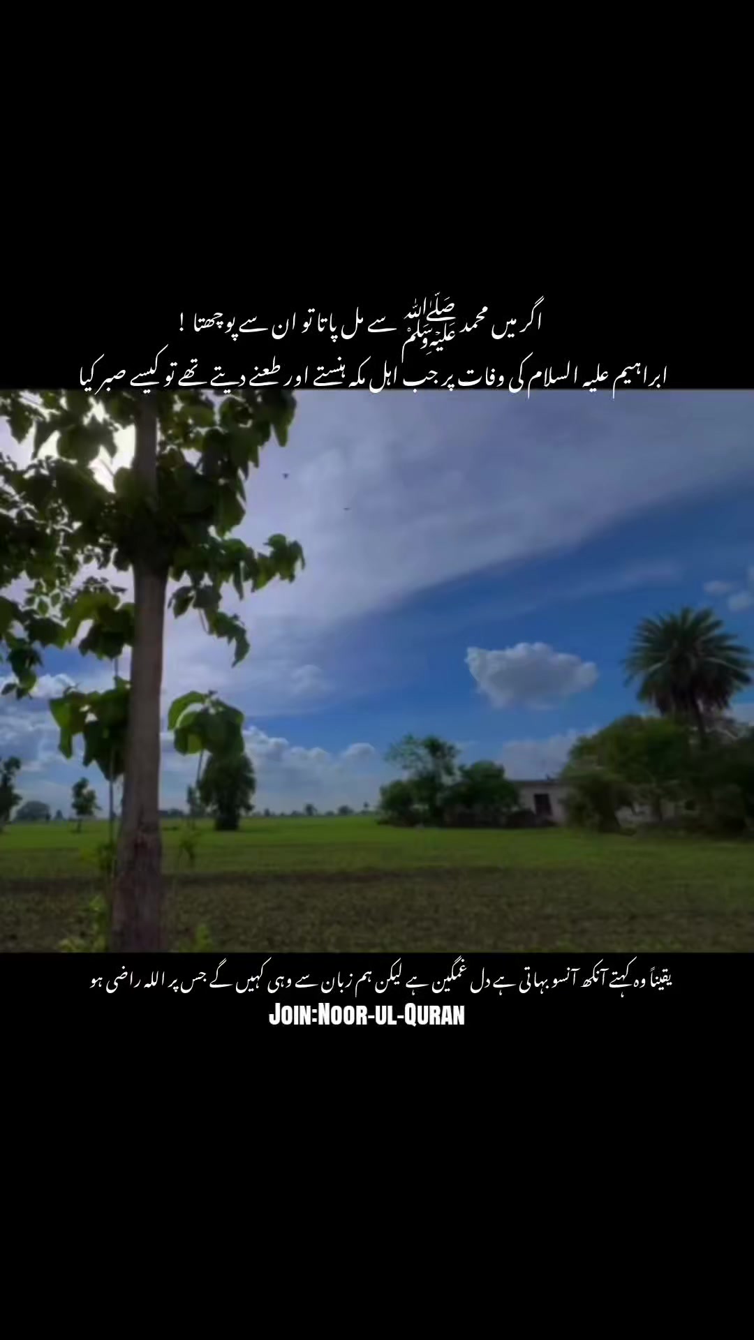 @قیس ✨🤍