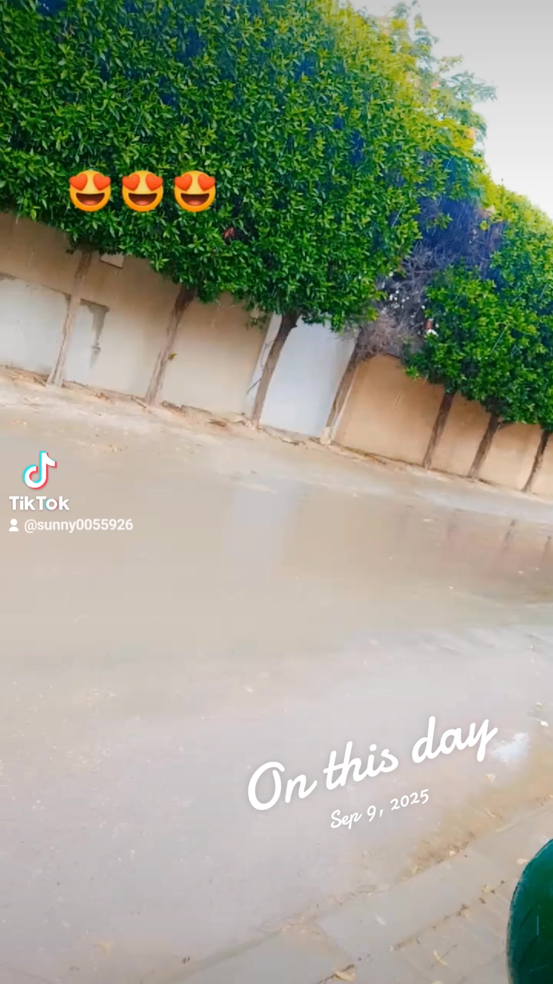 @Sunny