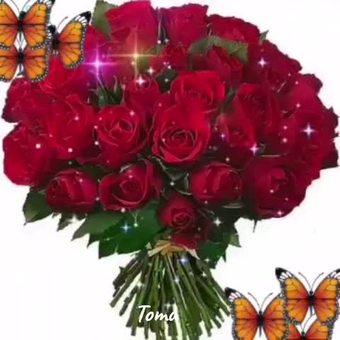 @Toma.T