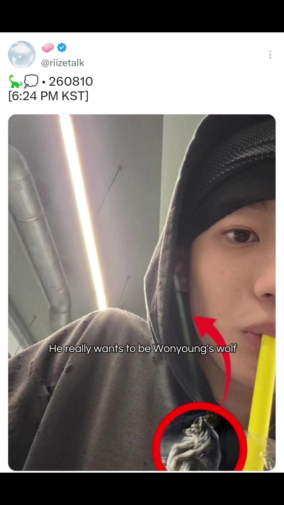 @Jangwonton