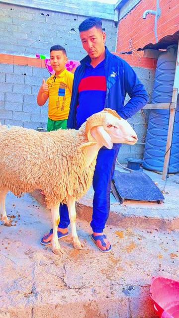 @kEBbAB ABDENNOUR
