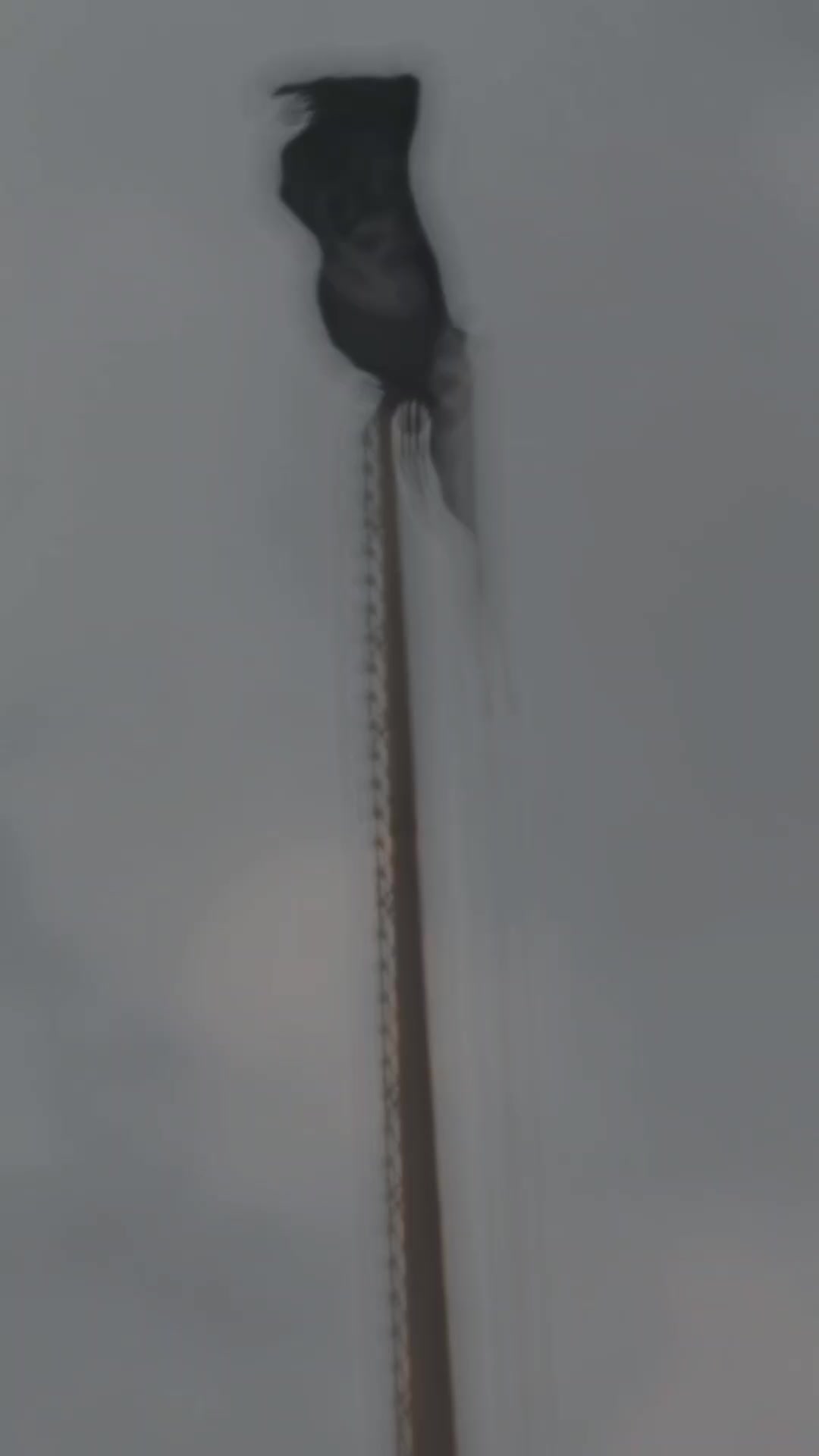 @mian sahib