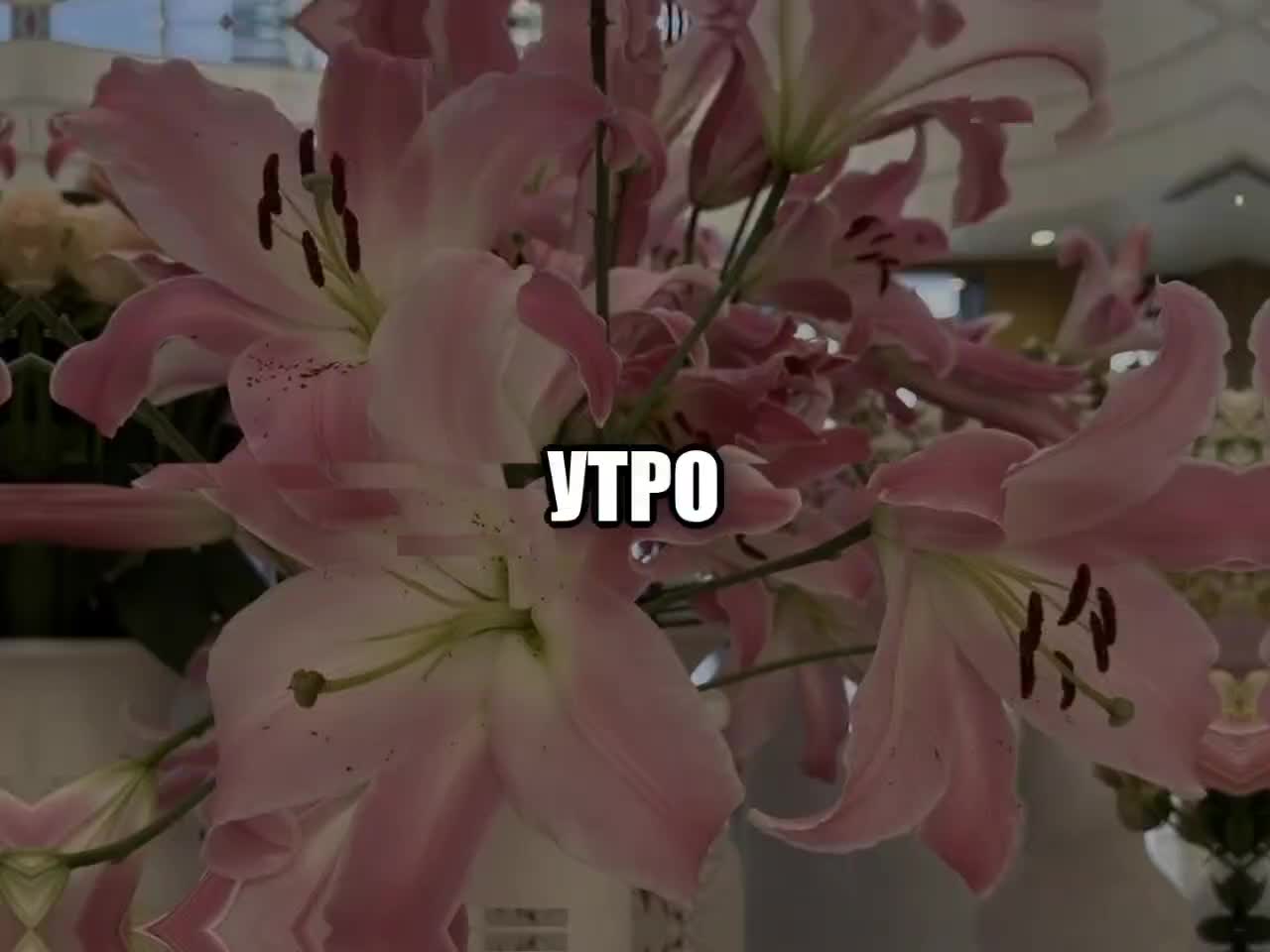 @музыка для липсингов