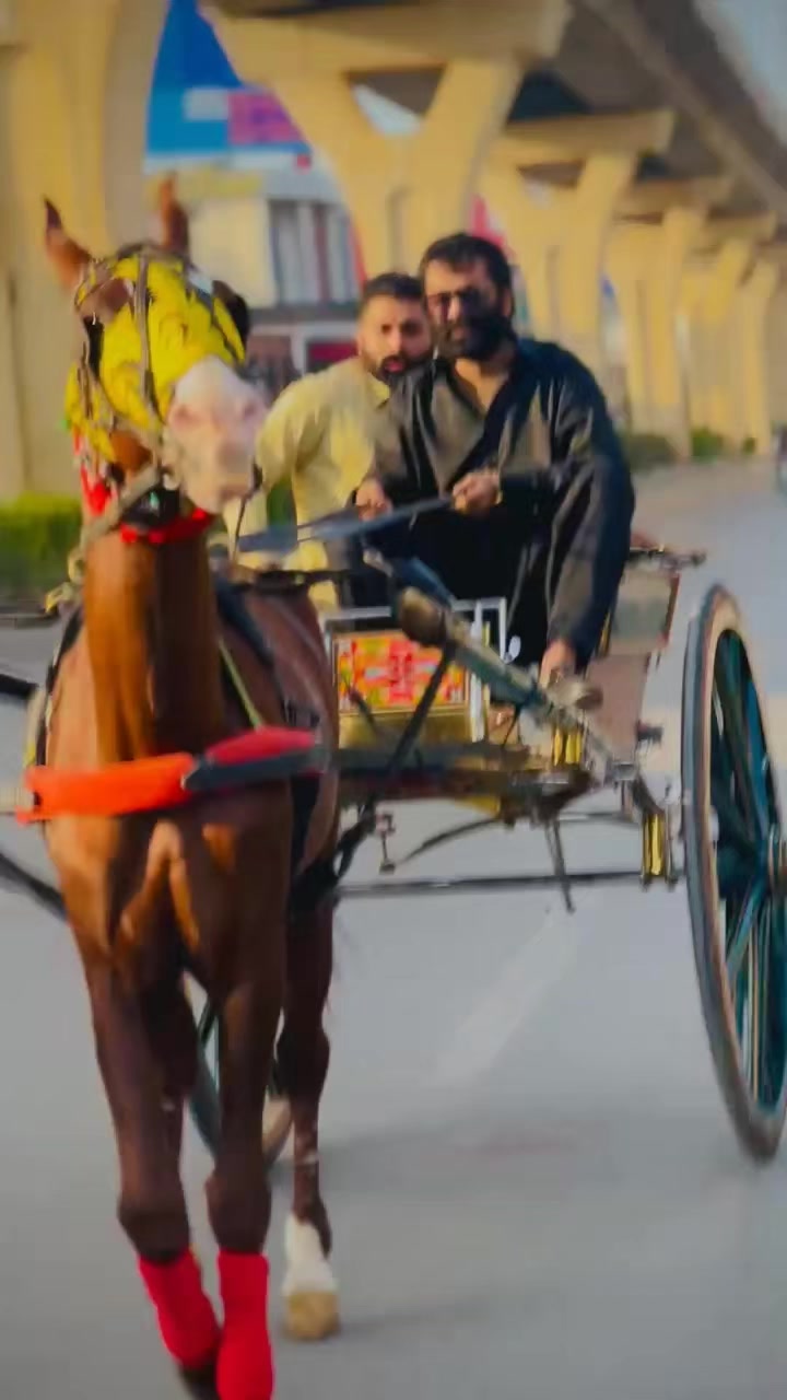 @junaid_Bhatti