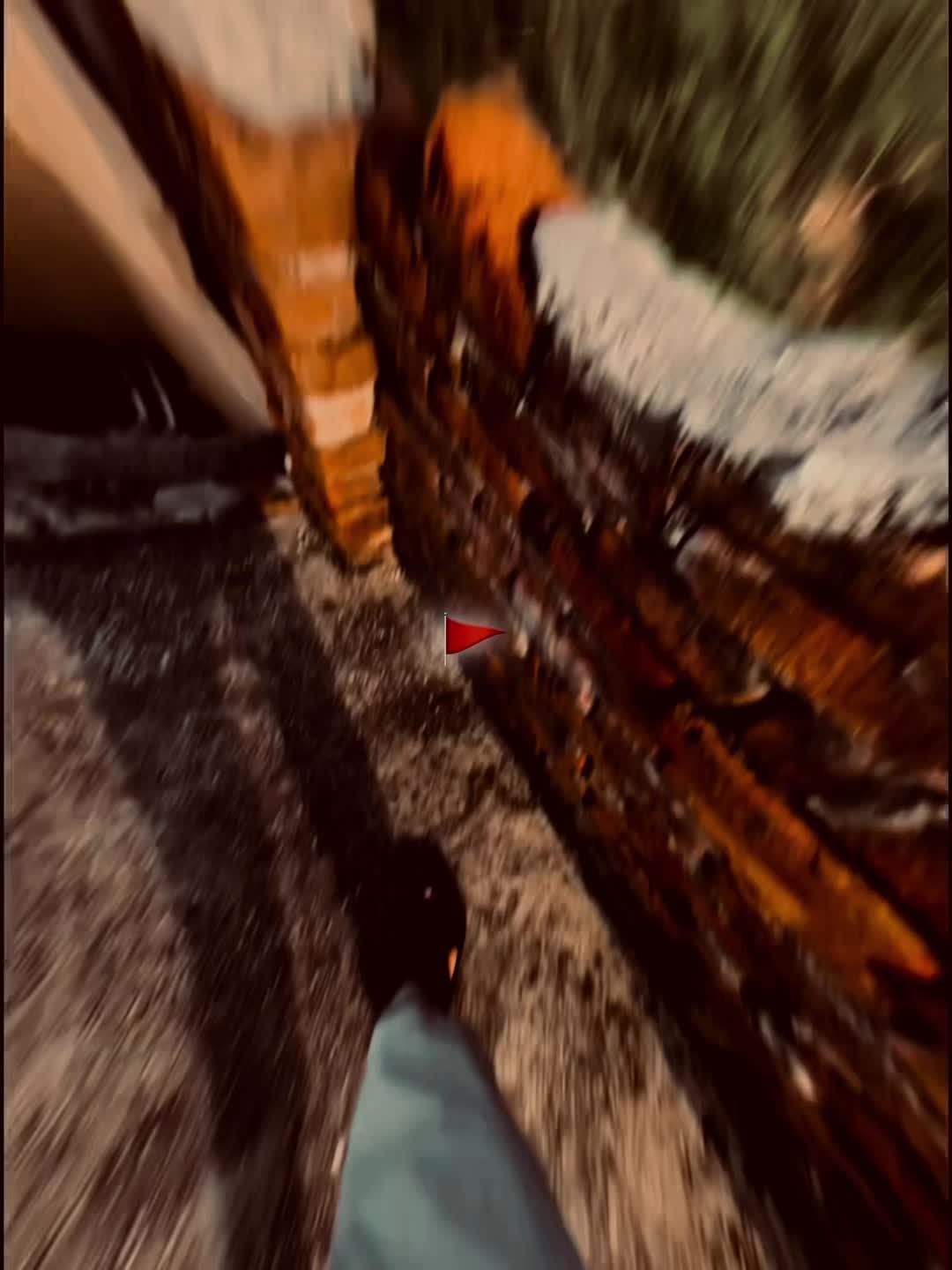@𝘿𝘼𝙉𝙄 🚩