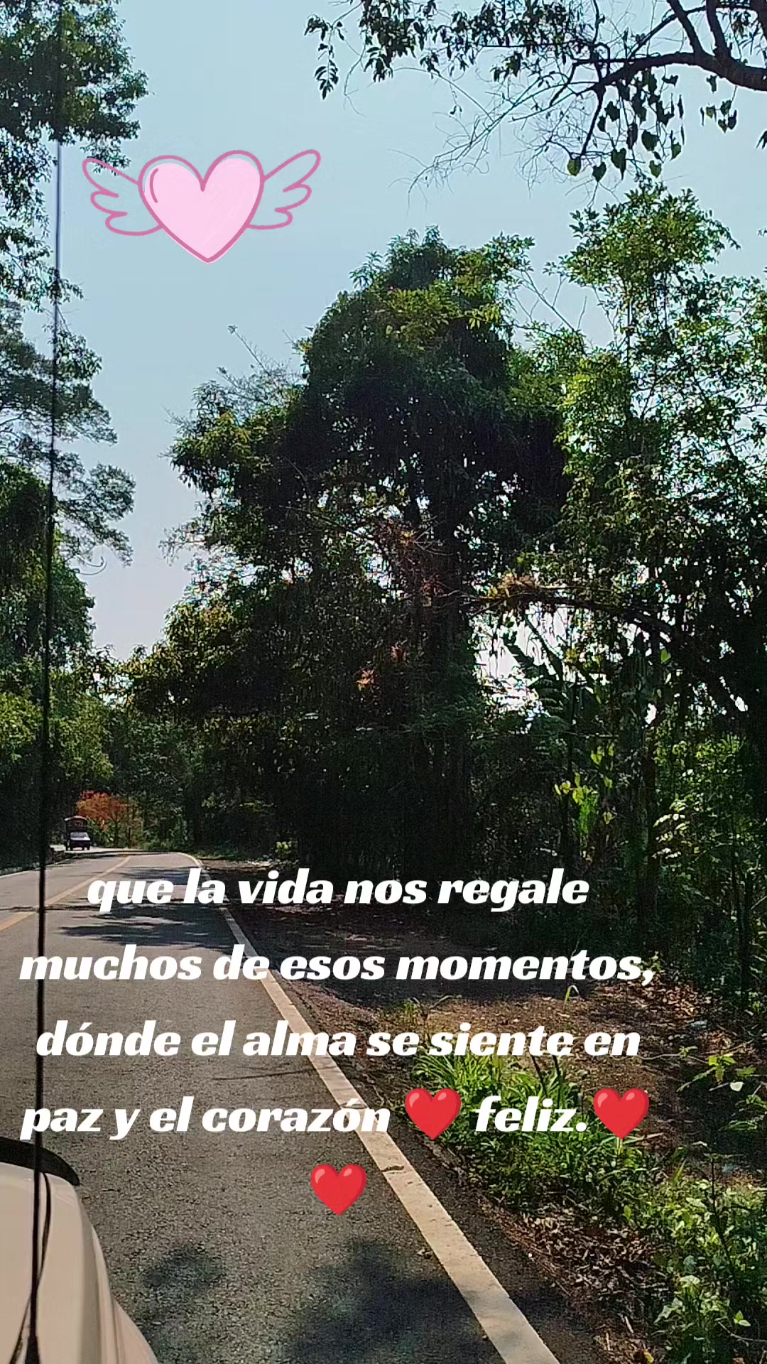 @🦋 cielito Carrada Angie 🦋