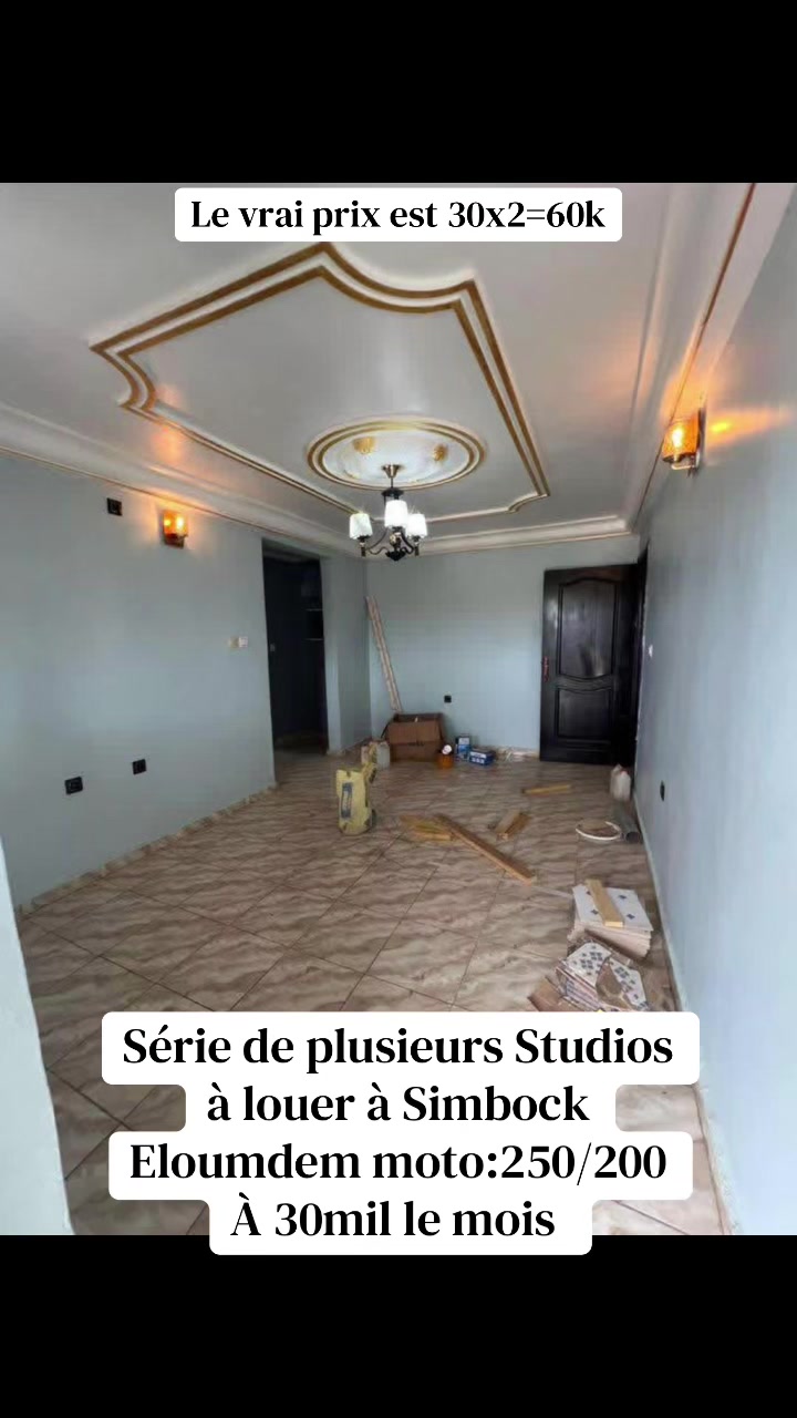 @DINO~IMMO~237🇨🇲🇨🇲