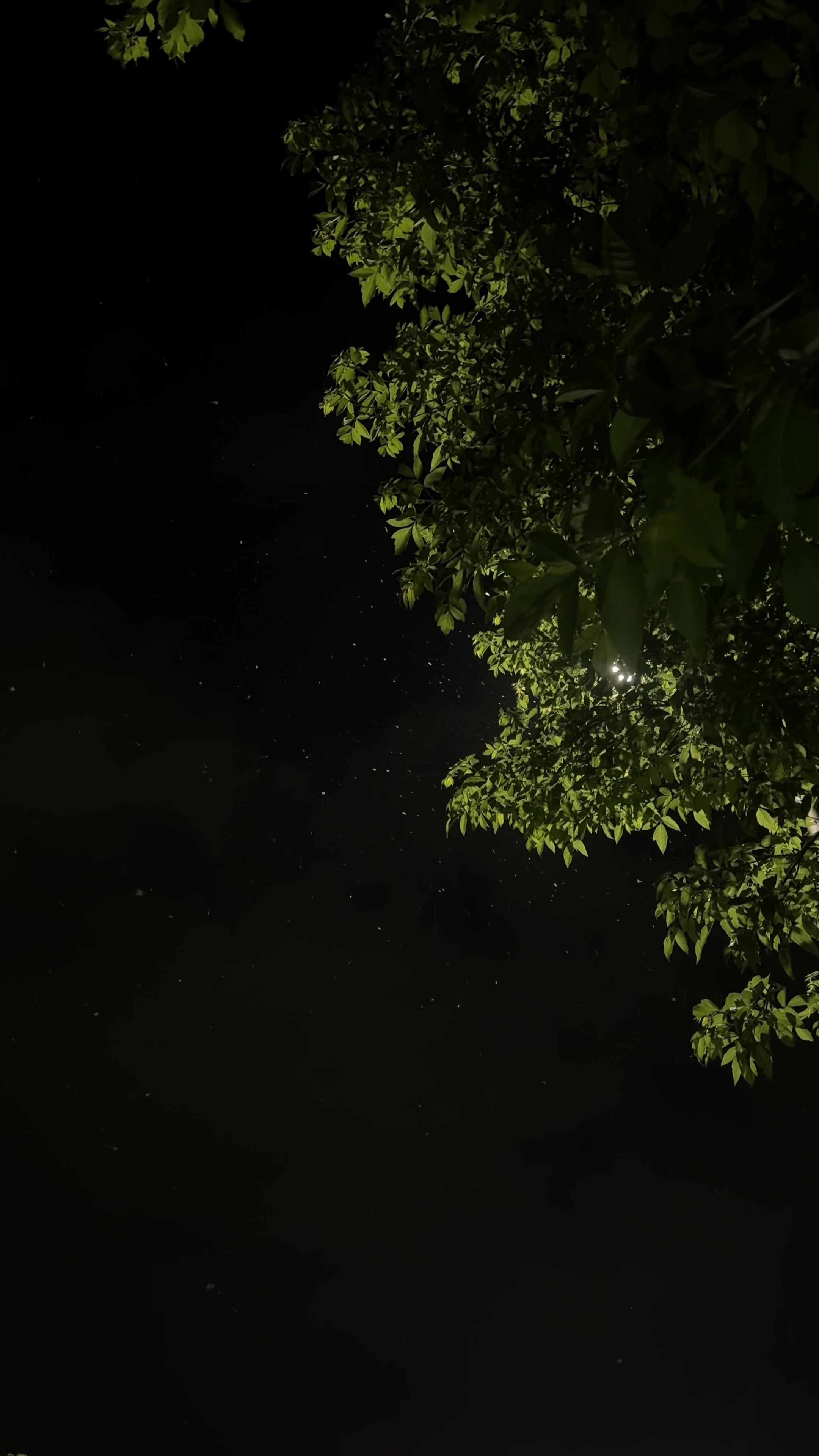 @𝑆𝑜𝑛𝑦𝑎