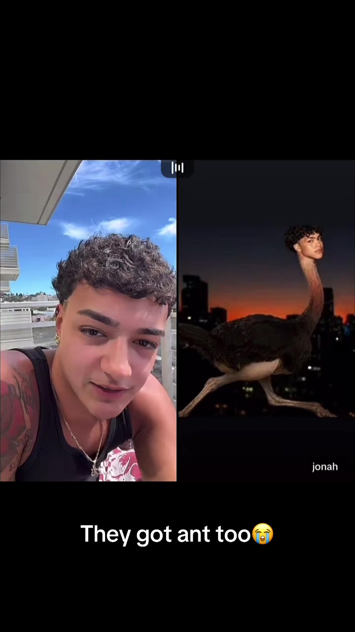 @crustytons