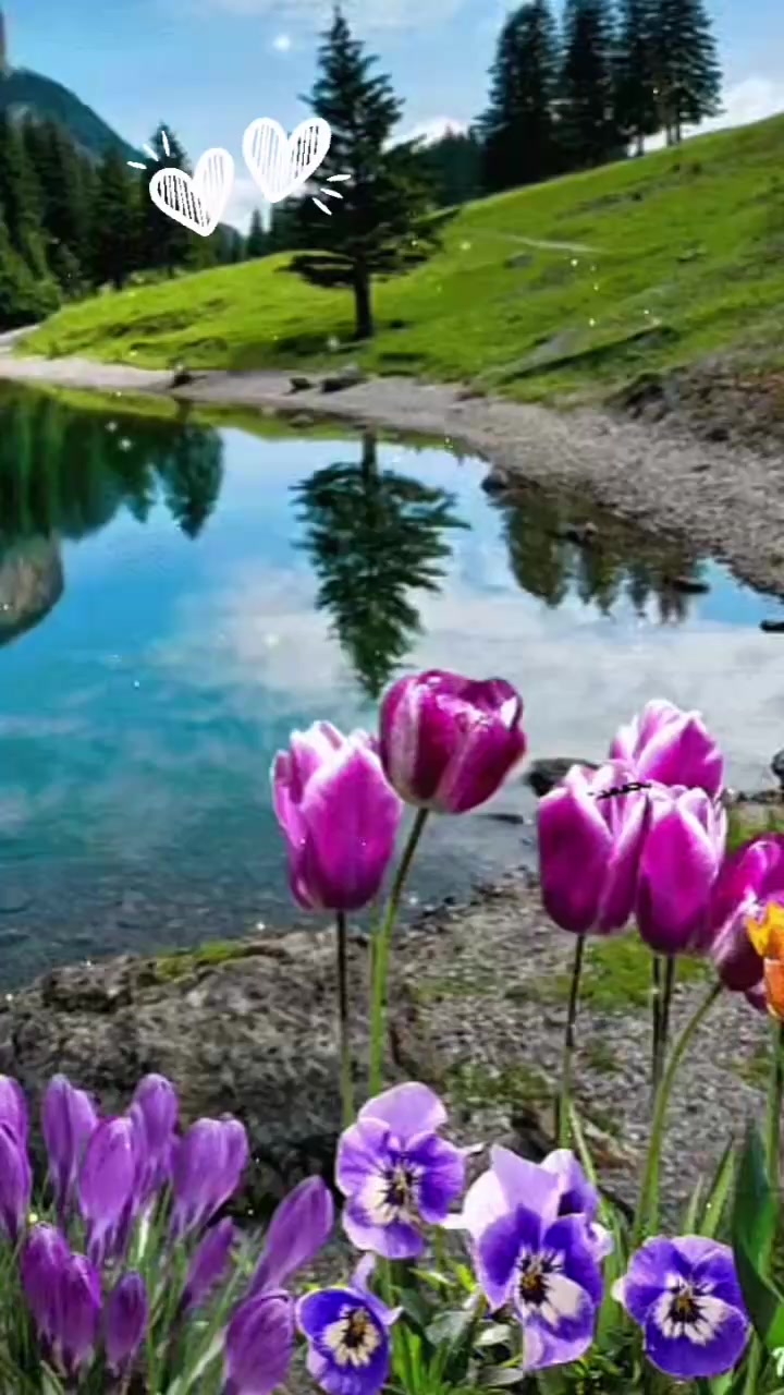@reallerin451