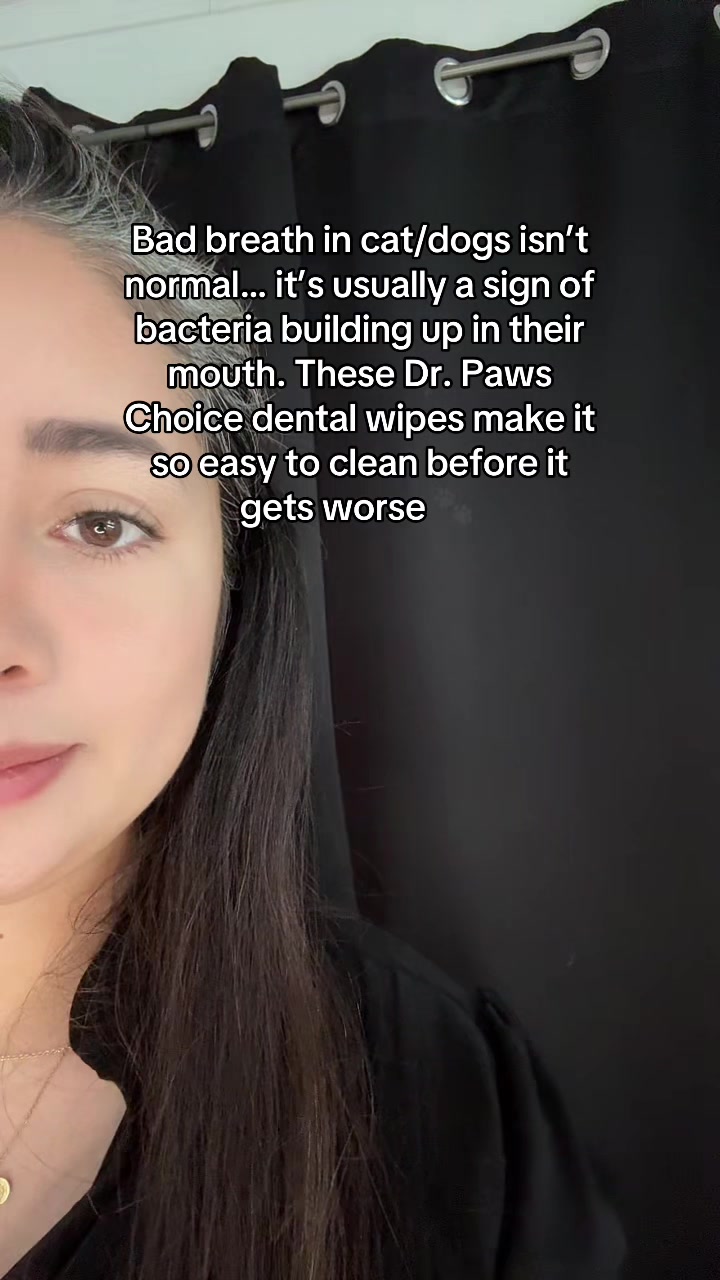 @andrycreates