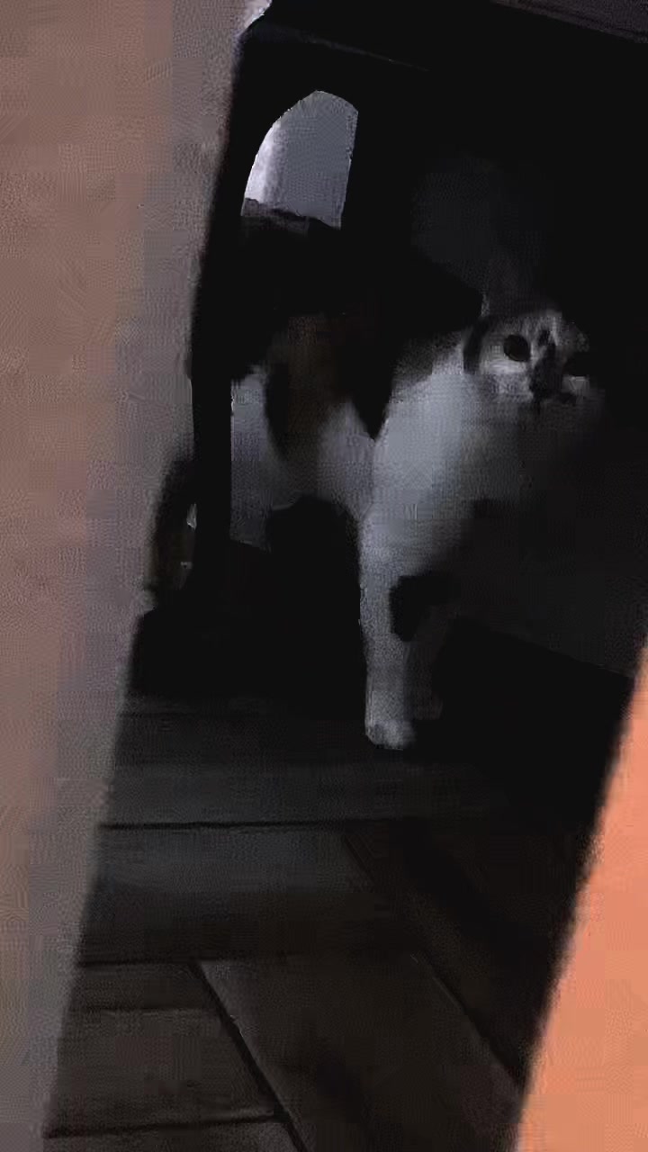 @😸 ྀི