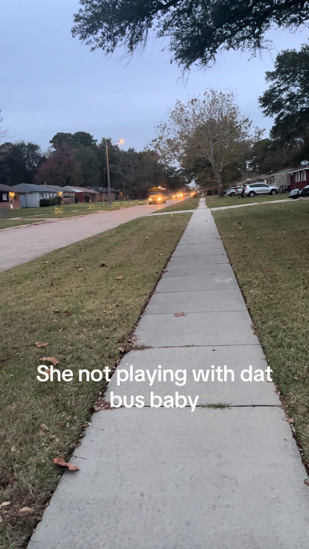 @Bluebirdbus302