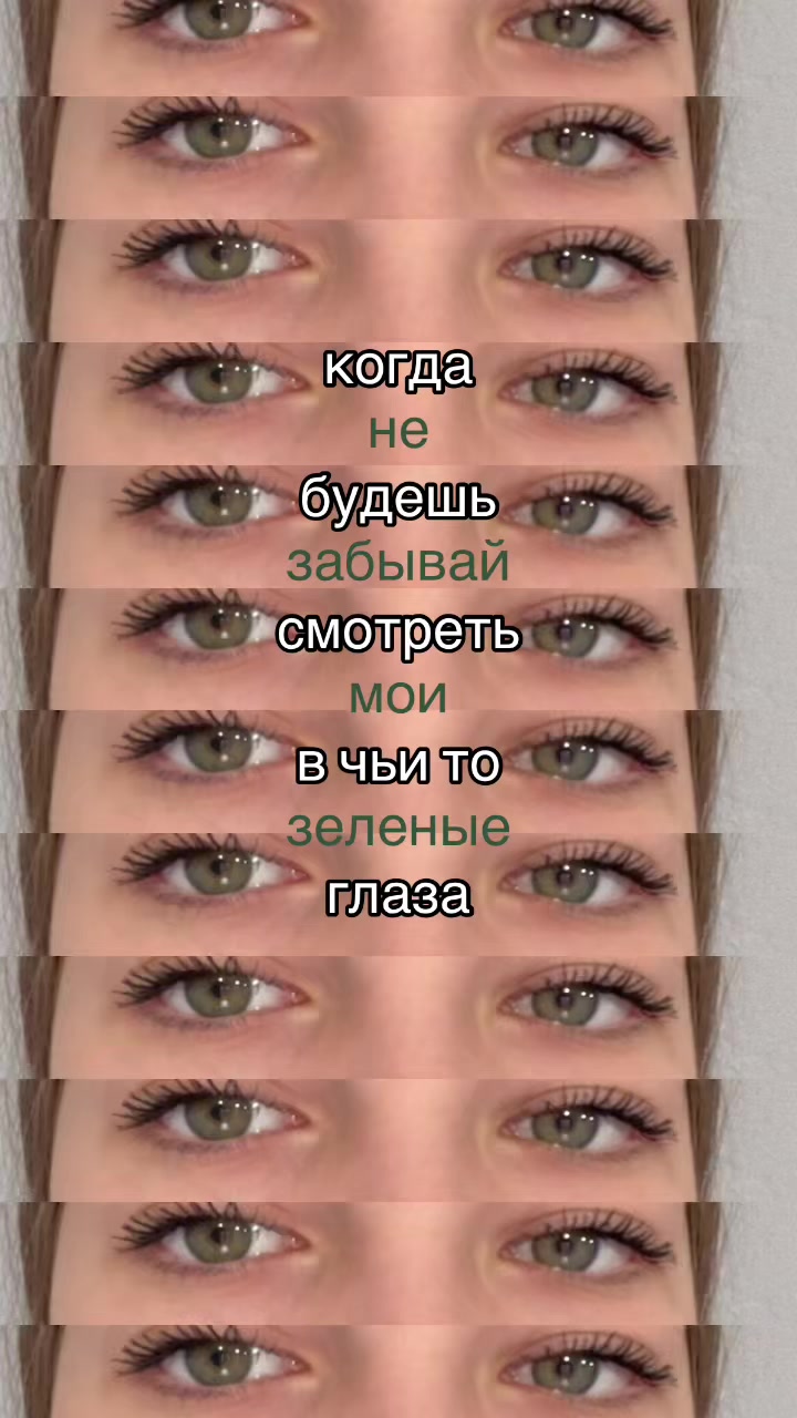 @vasikss