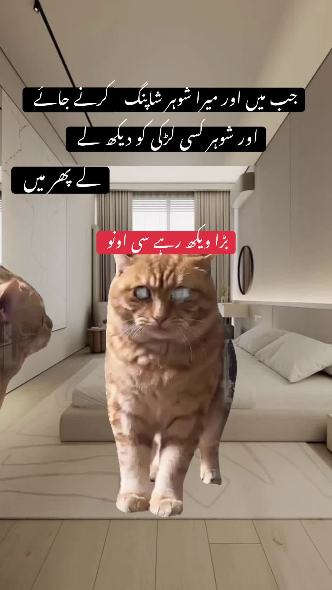 @Sweetie 🇵🇰🇺🇸💫💕💞
