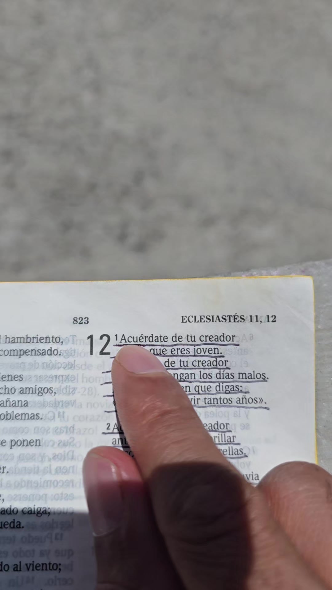 @Palabra de Dios