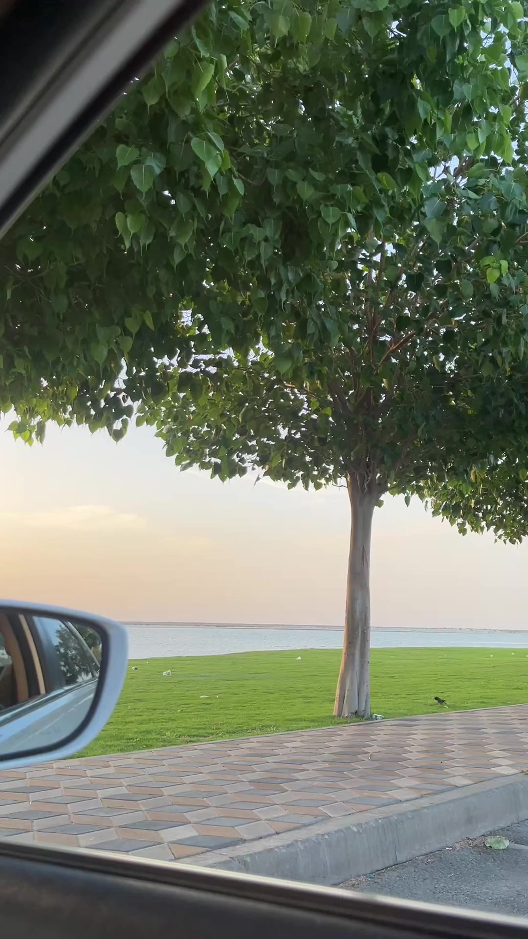 @ملك بلوقررر / الجبيل ✨