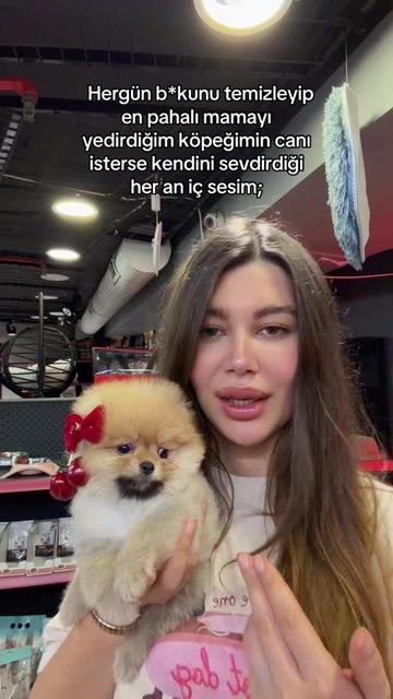 @Toysofboo🌸