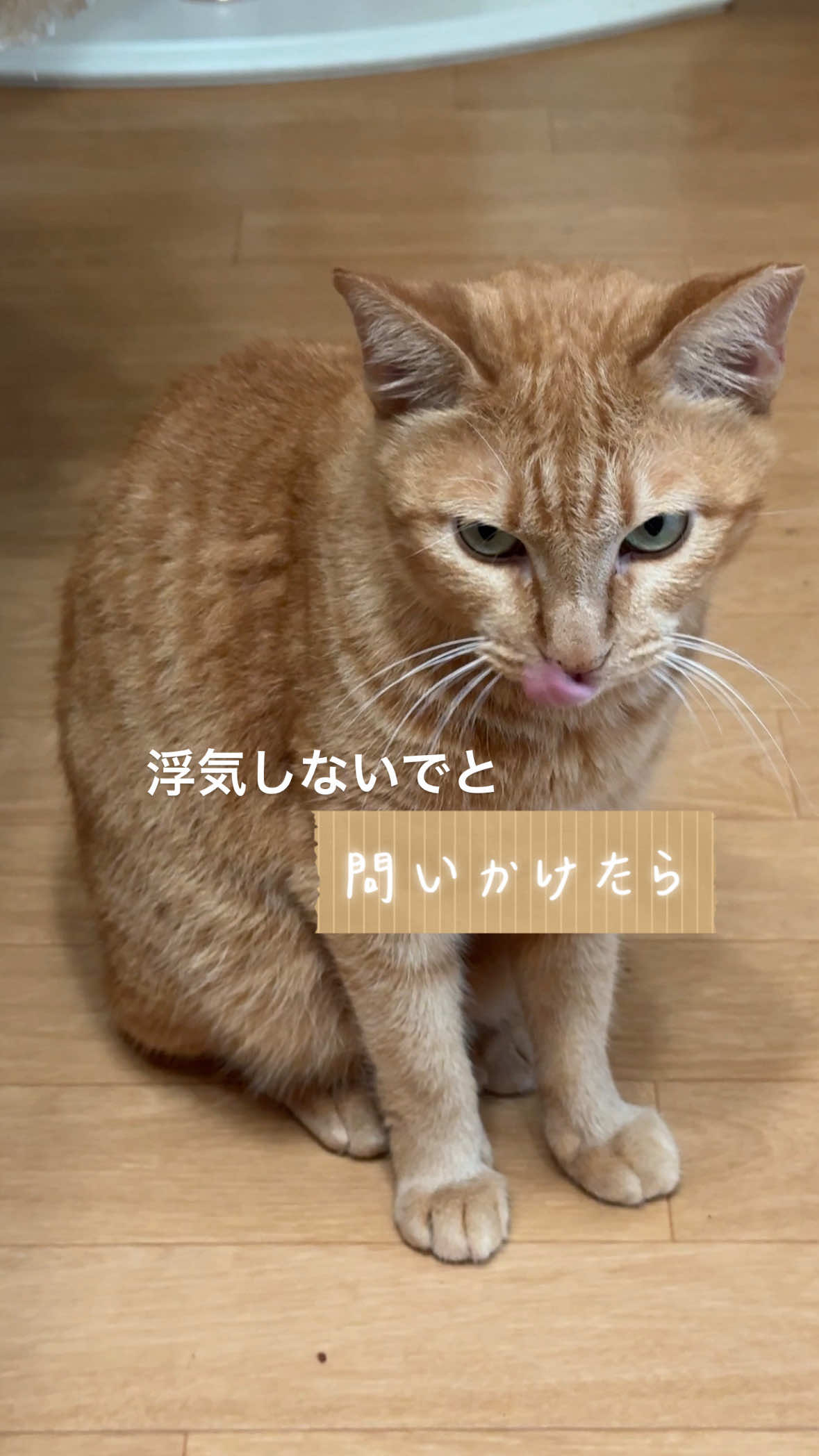 @さっことおちょ