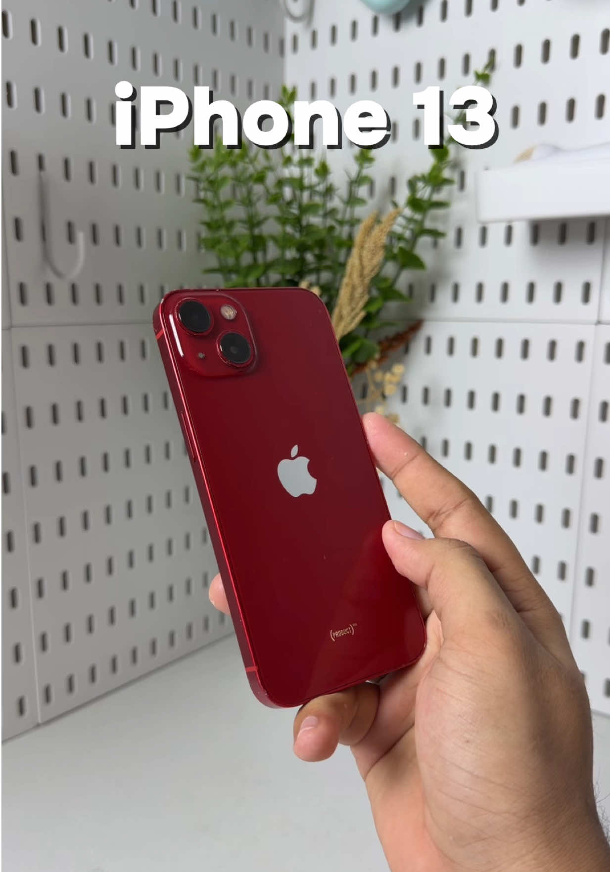 @iPhonary 🩷