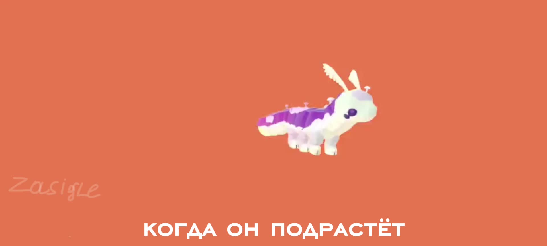 @𝐙𝐚𝐬𝐢𝐠𝐥𝐞