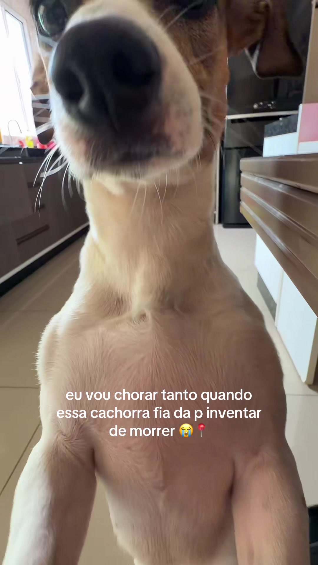 @maria eduarda