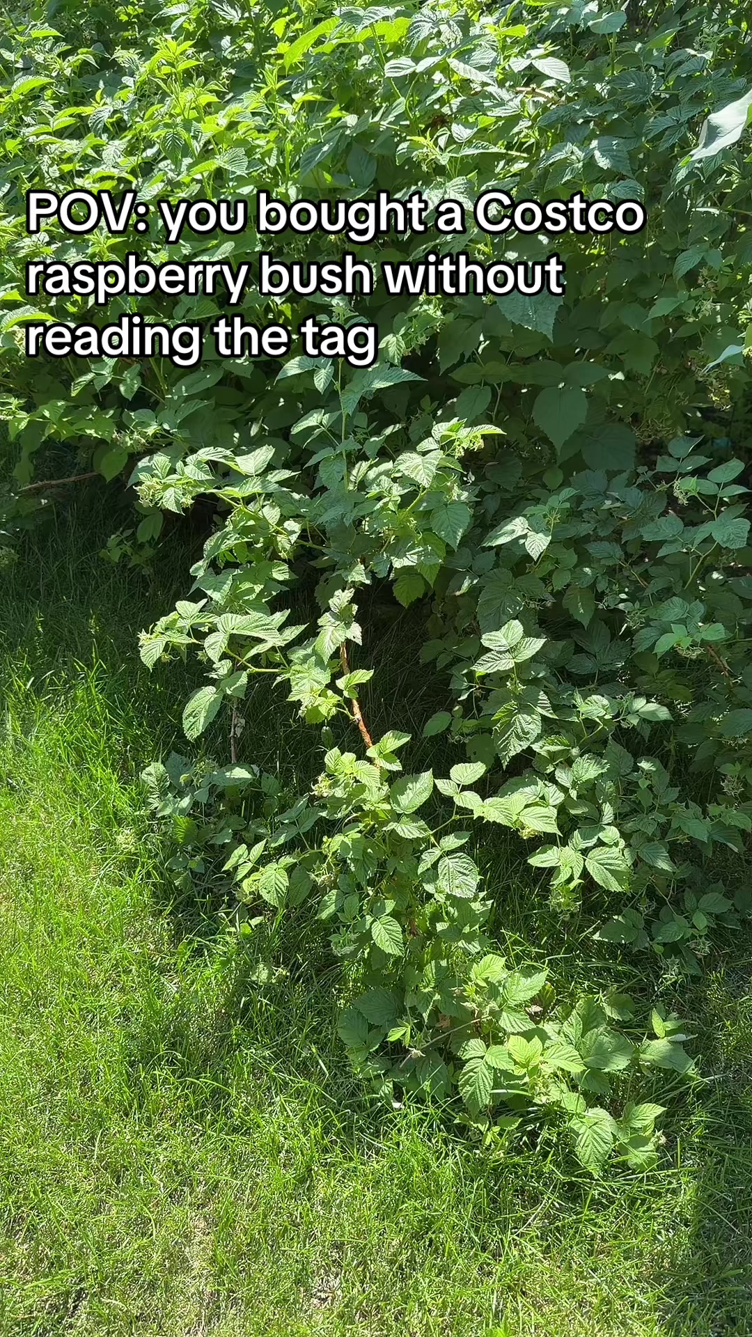 @Bo