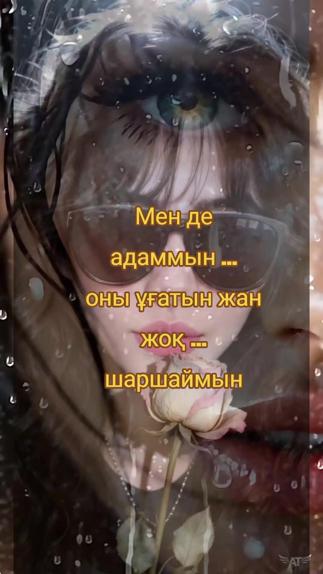 @☾༄☽𝑨i𝒂 jan☾༄☽