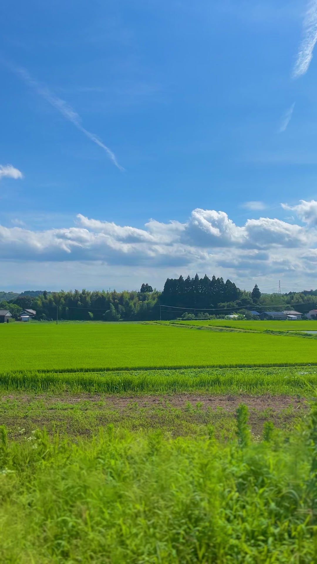 @︎︎夏空