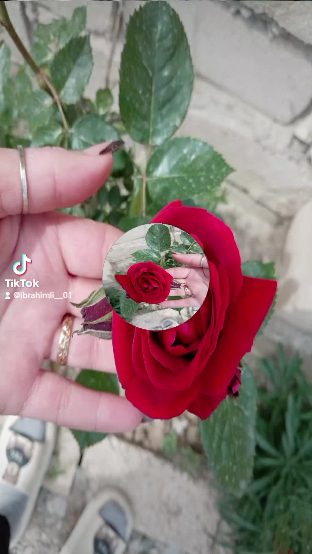 @ibrah1mli_00