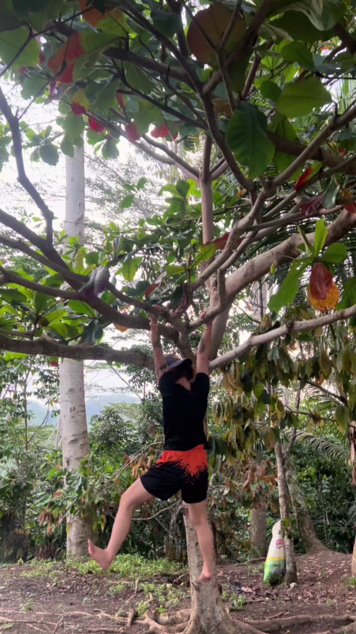 @🦋Jelai🦋
