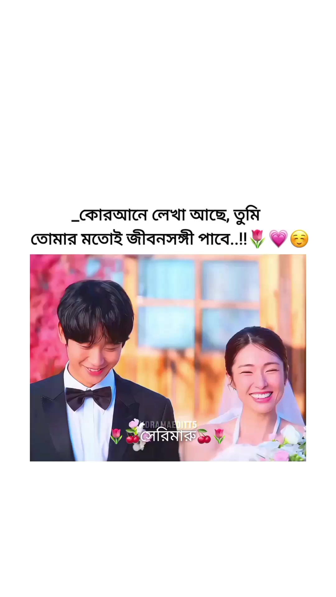 @🌷🍒সেরিমারু🍒🌷
