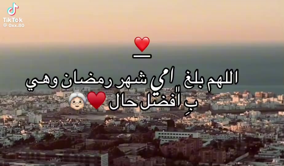 @مراد سويد ❤️🔥🦅