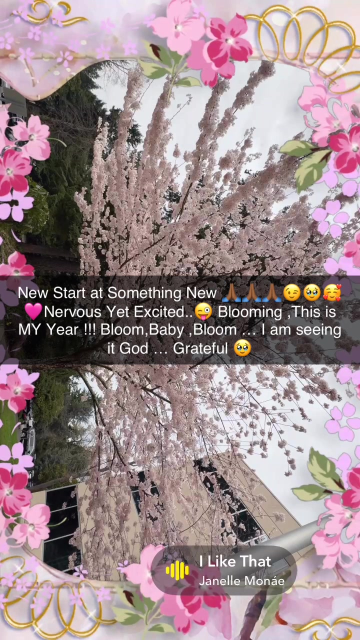 @_SheaBlessed