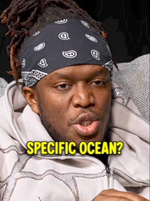 @DailyGoose