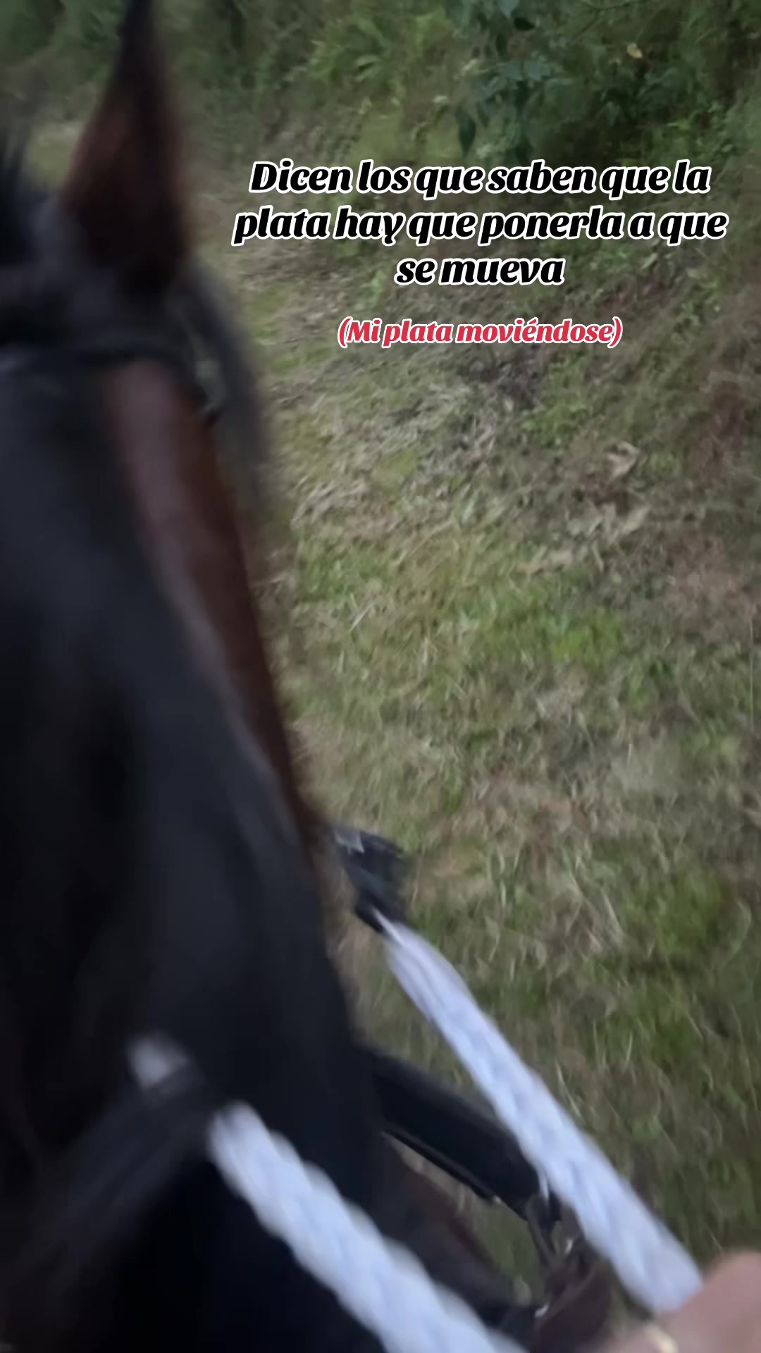 @𝓟𝓻𝓲𝓼𝓬𝓲𝓵𝓪