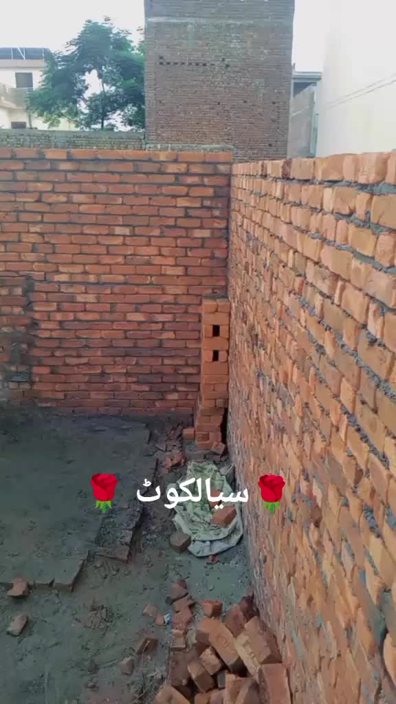 @MD.Shahbaz live