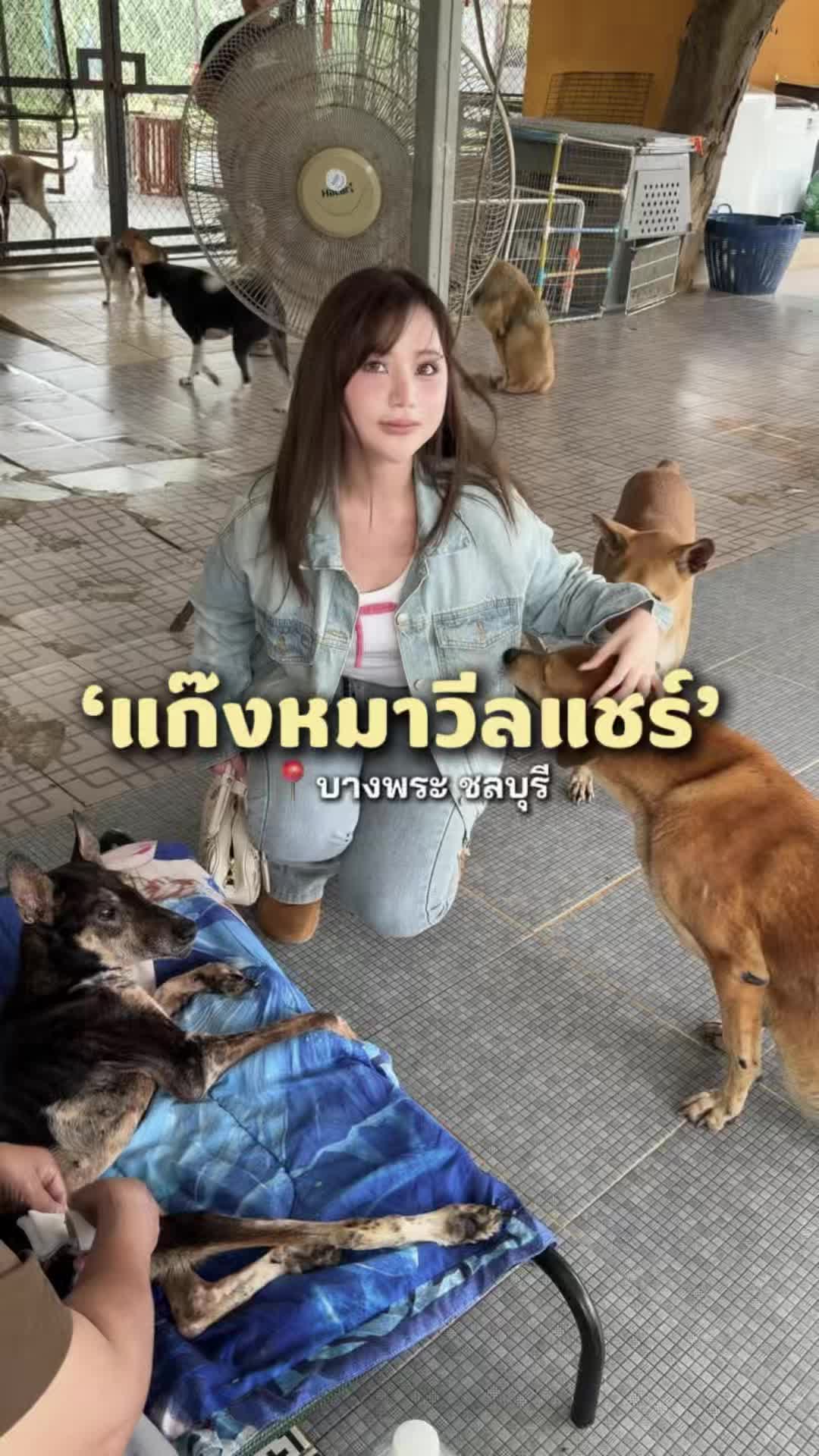 @หงส์หยกศิริ🐥