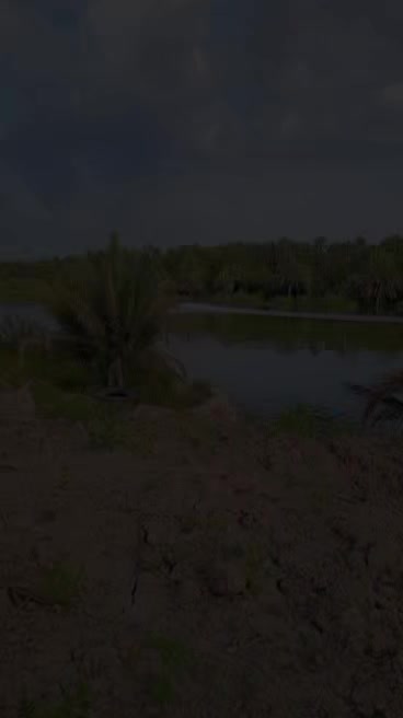 @هاجر طارق 🍒