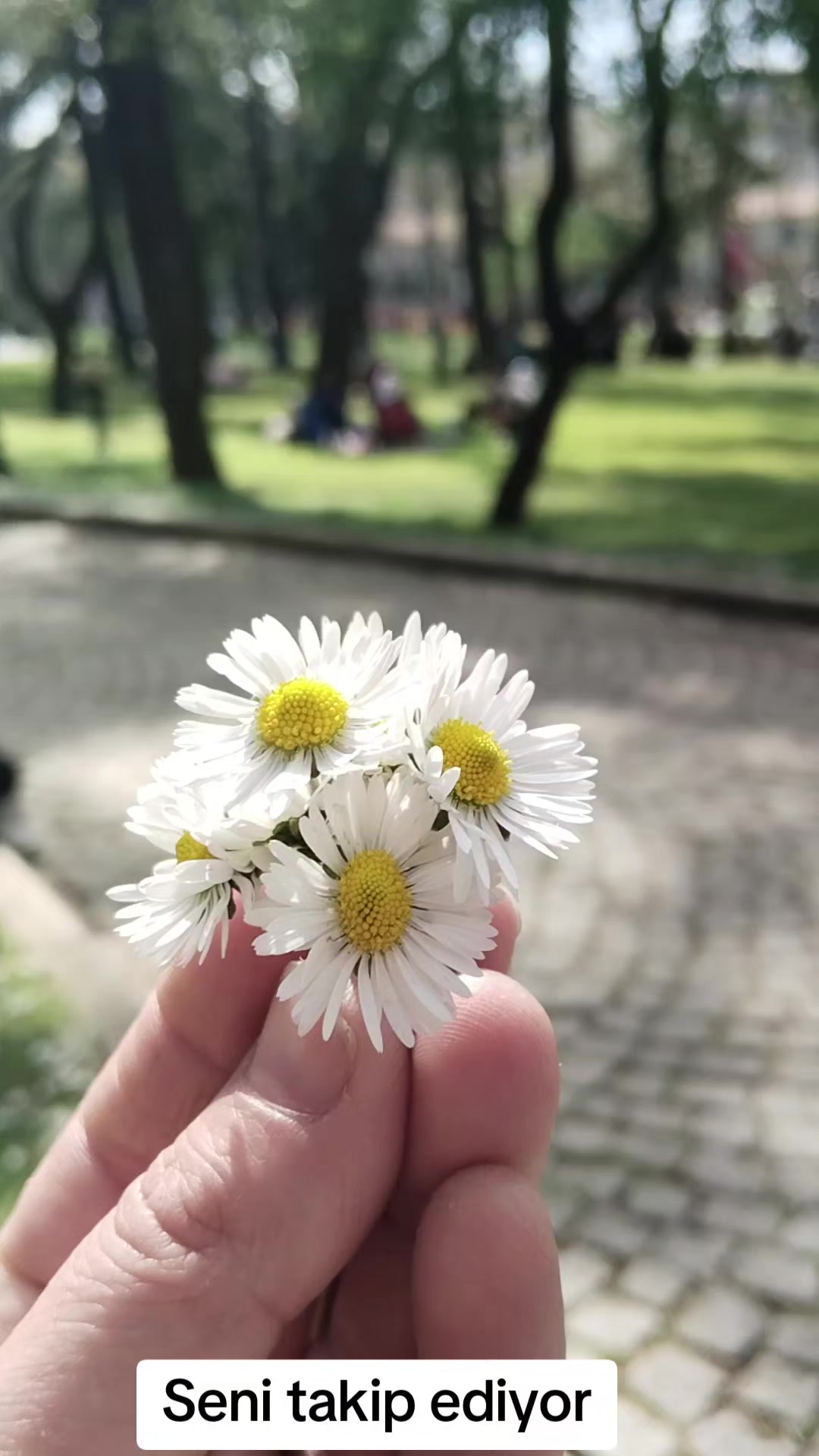 @🕊️gizemli38🍂