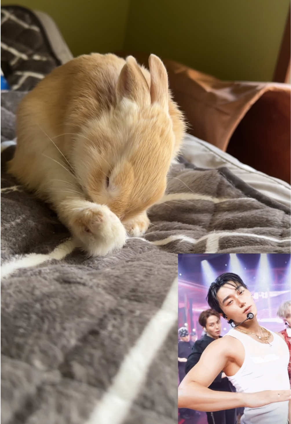 @WONDOO