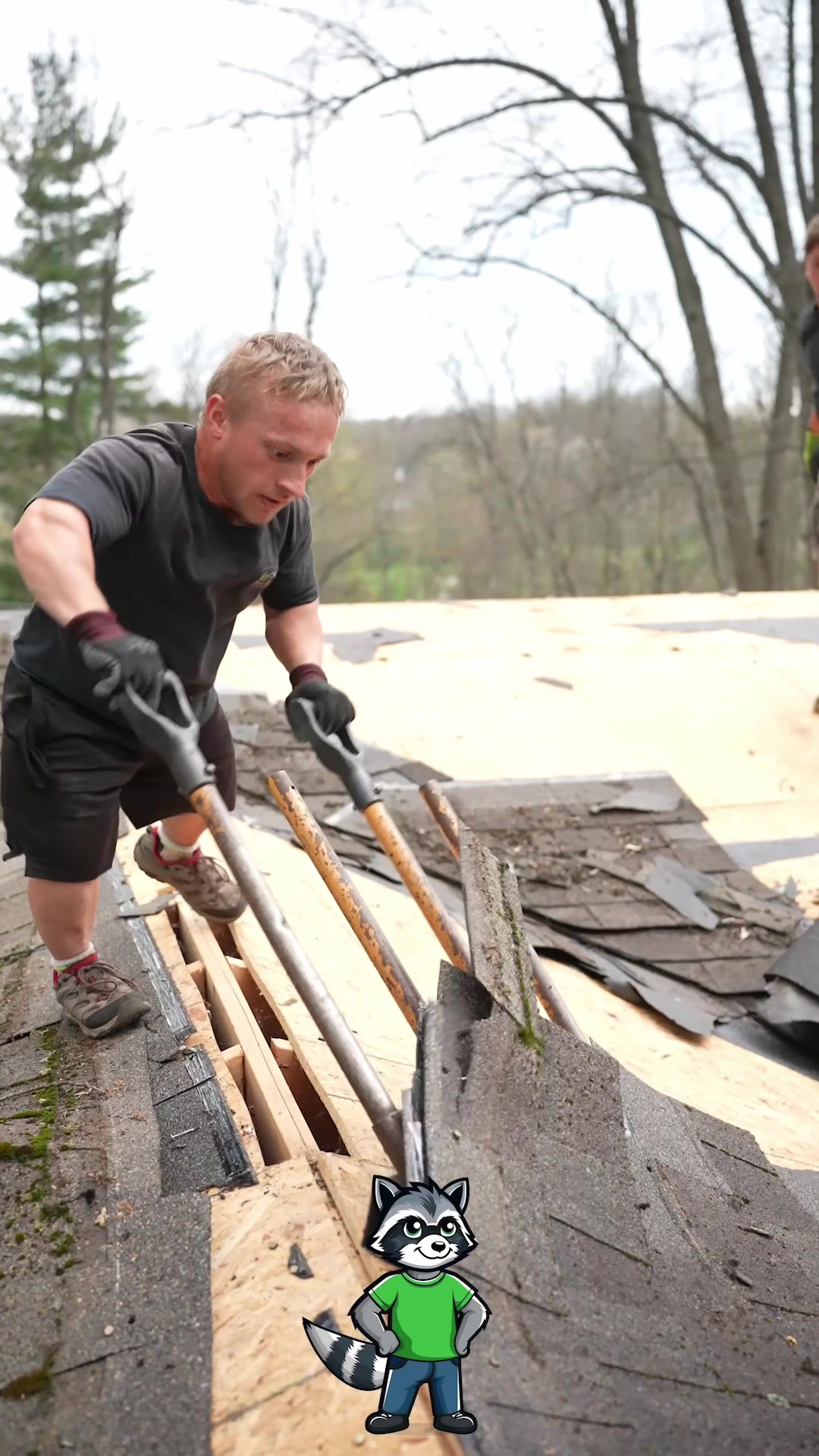 @Pine Ridge Roofing LLC