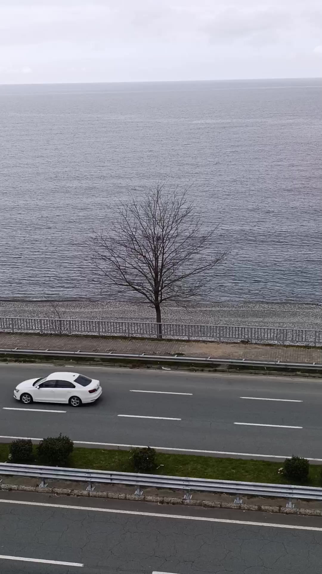 @Laz uşağı53