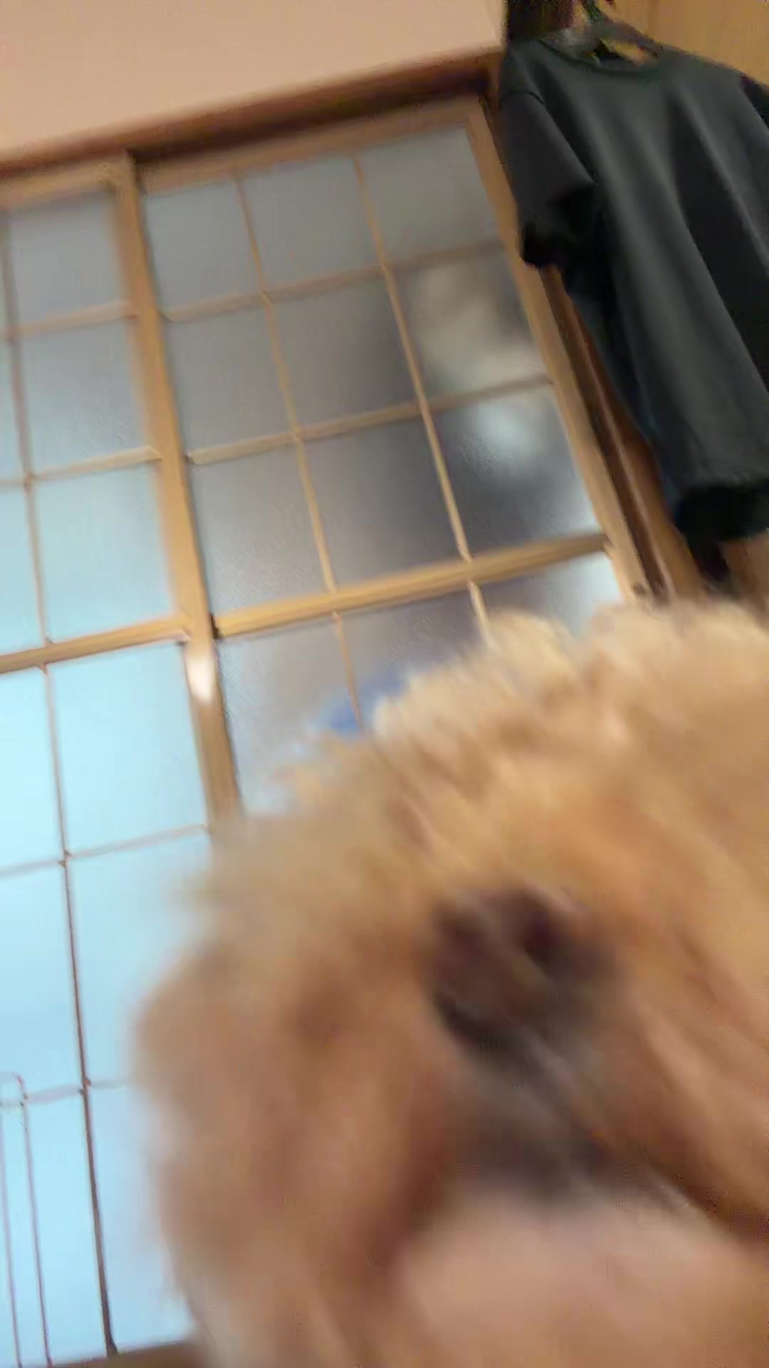@にわか
