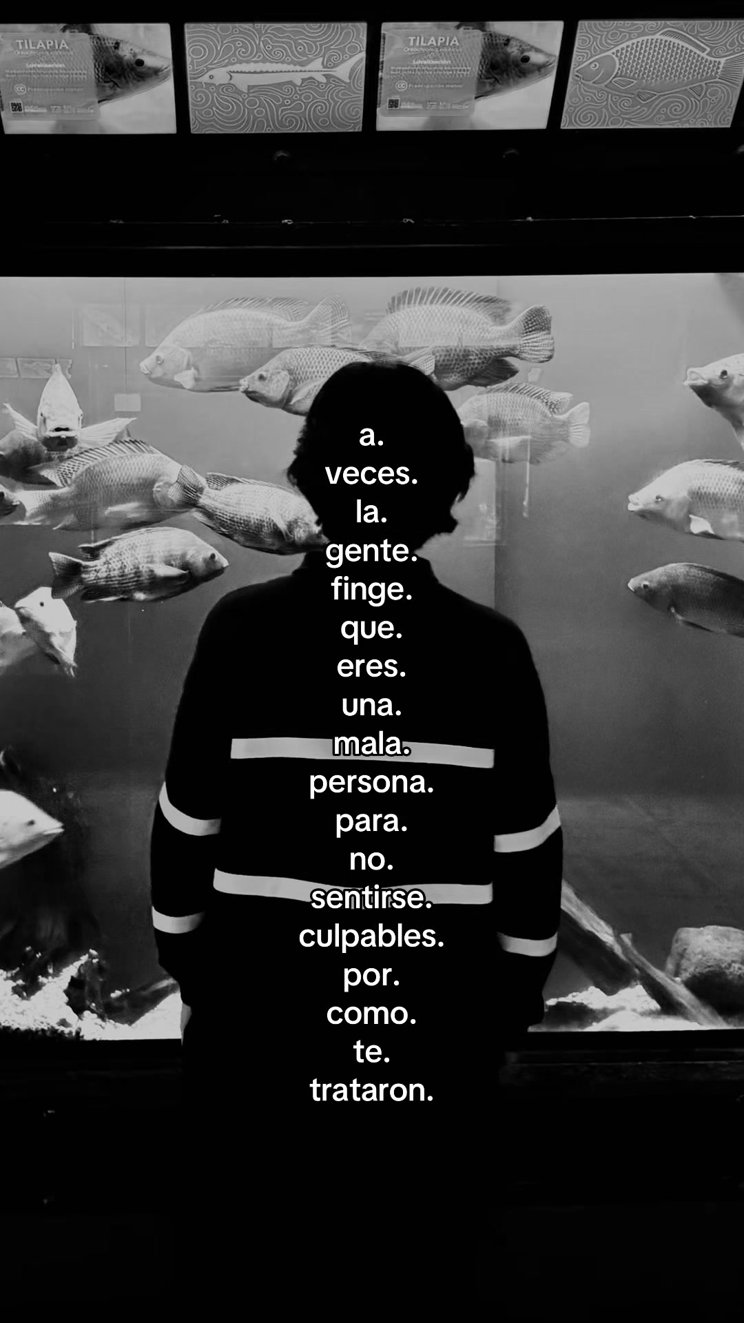 @rqv_fx