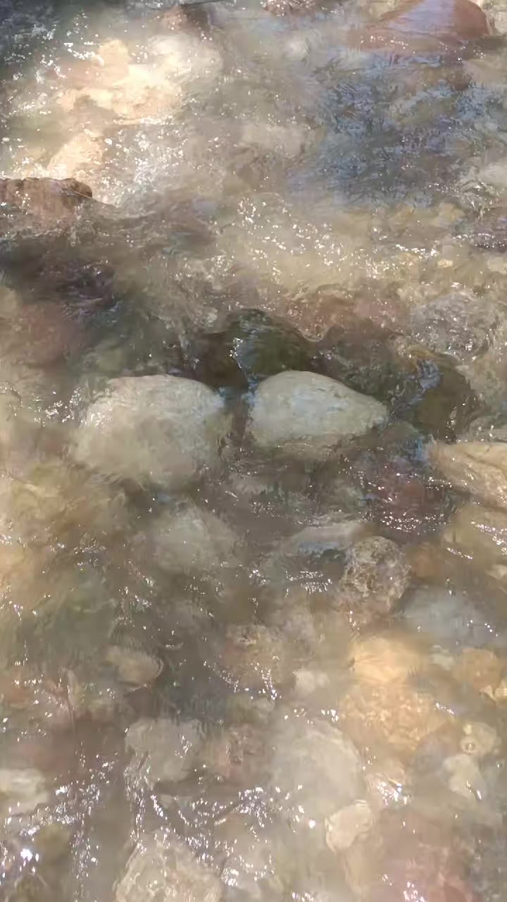 @عادل اغا جمال ده لۆ