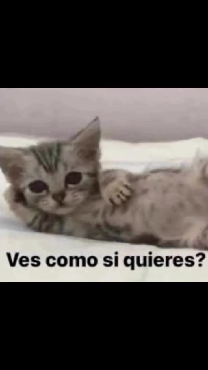 @c_Edwin_S