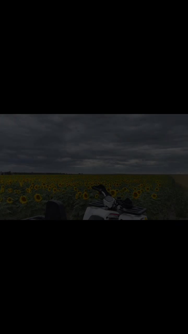 @_ʙʀᴀᴠᴇsᴏᴠᴏᴅ_