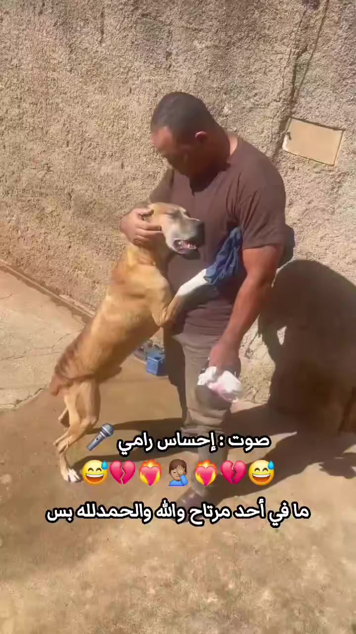 @إحساس رامي