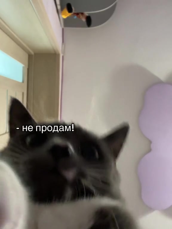 @🎀🧸